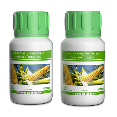 Dicamba / Triasulfuron Selective Herbicides cas 1918-00-9 / 82097-50-5 supplier