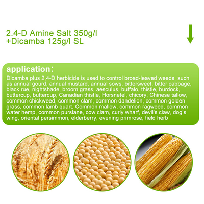 Dicamba / Triasulfuron Selective Herbicides cas 1918-00-9 / 82097-50-5 supplier