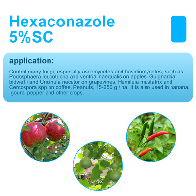 Agricultural Crops Hexaconazole systemic Plant Fungicide 79983-71-4 supplier