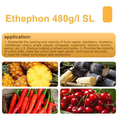 Ethephon 48%SL Tree Growth Regulators CAS 137-26-8 supplier