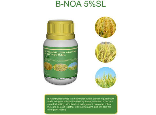 Beta naphthoxyacetic acid NOA B-NOA Plant Growth Regulators CAS 120-23-0 supplier