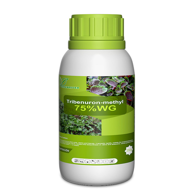 101200-48-0 Tribenuron Methyl Selective Herbicides For Maize , White powder supplier