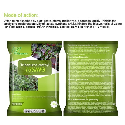 101200-48-0 Tribenuron Methyl Selective Herbicides For Maize , White powder supplier
