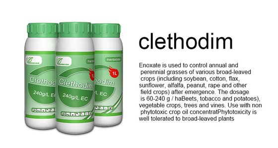 Clear / amber liquid Selective Herbicides Clethodim 24%EC for soya beans , flax supplier