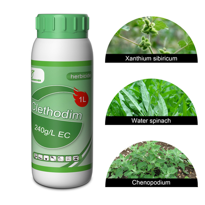Clear / amber liquid Selective Herbicides Clethodim 24%EC for soya beans , flax supplier