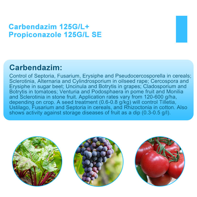 Tebuconazole 125gl + Propiconazole 125gl EC foliar fungicide supplier