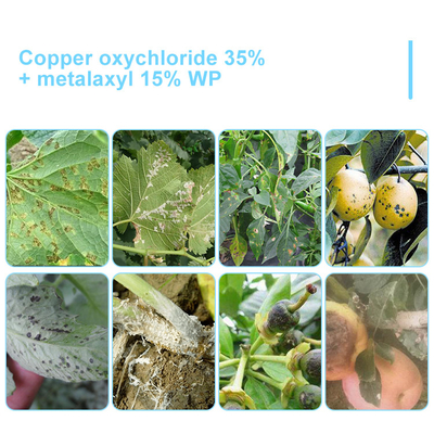 White powder 57837-19-1 Metalaxyl Plant Fungicide / Natural Garden Fungicide supplier