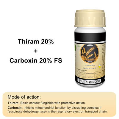 Tolclofos methyl ,Thiram contact Plant Fungicide 137-26-8 / 57018-04-9 supplier