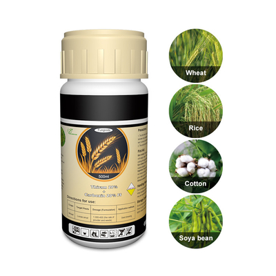 Tolclofos methyl ,Thiram contact Plant Fungicide 137-26-8 / 57018-04-9 supplier