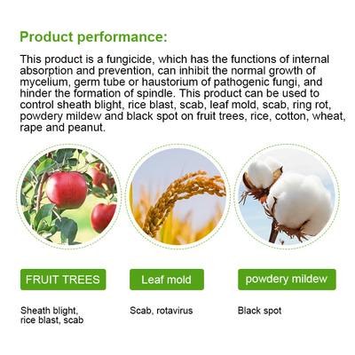 Thiophanate - Methyl 50%SC Systemic Fungicide For Tomato Plants 36734-19-7 supplier