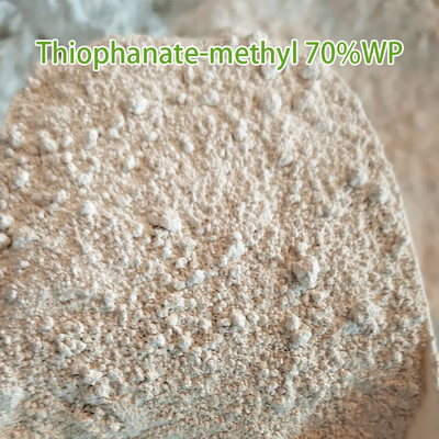 Thiophanate - Methyl 50%SC Systemic Fungicide For Tomato Plants 36734-19-7 supplier