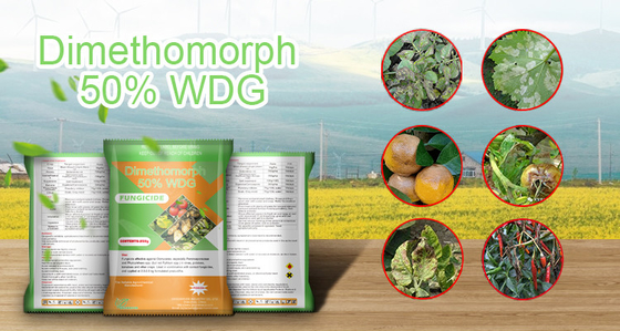 Dimethomorph 50%WP Chemical Fungicides Products 110488-70-5 supplier