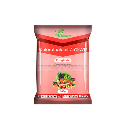 cheap Chlorothalonil 75%WP vegetables Plant Fungicide CAS 1897-45-6