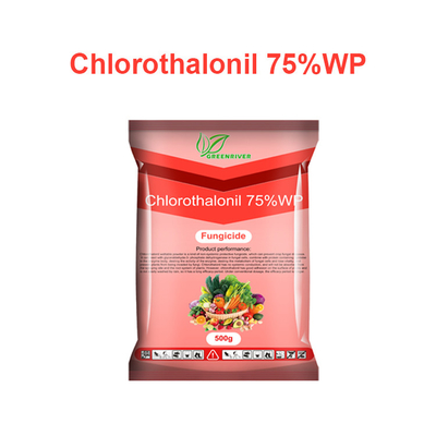 Chlorothalonil 75%WP vegetables Plant Fungicide CAS 1897-45-6 supplier