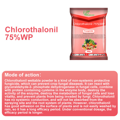 Chlorothalonil 75%WP vegetables Plant Fungicide CAS 1897-45-6 supplier
