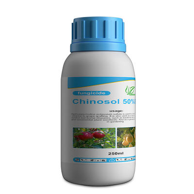 White powder / liquid Systemic Chinosol fungicide bactericide products supplier