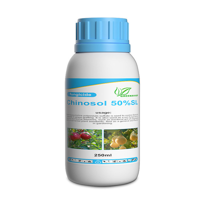 White powder / liquid Systemic Chinosol fungicide bactericide products supplier