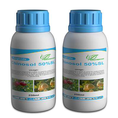 White powder / liquid Systemic Chinosol fungicide bactericide products supplier