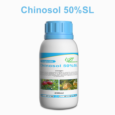 White powder / liquid Systemic Chinosol fungicide bactericide products supplier