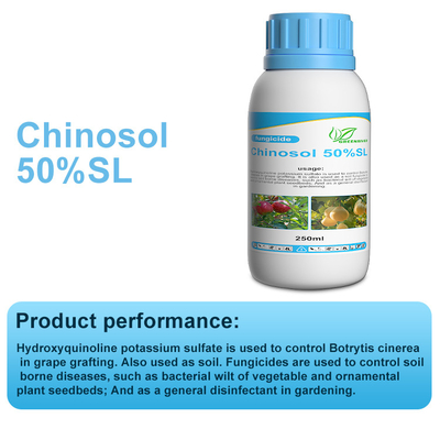 White powder / liquid Systemic Chinosol fungicide bactericide products supplier
