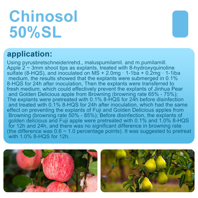 White powder / liquid Systemic Chinosol fungicide bactericide products supplier