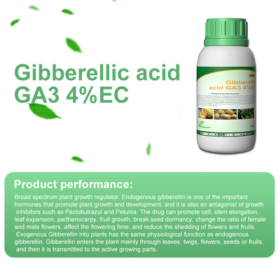 CAS 77-06-5 Gibberllin Bonzi Plant Growth Regulator in seed potatoes supplier