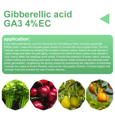 CAS 77-06-5 Gibberllin Bonzi Plant Growth Regulator in seed potatoes supplier
