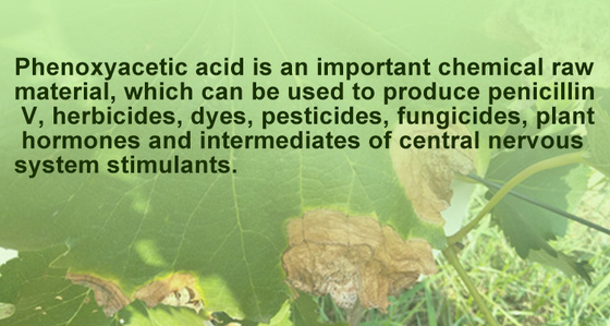 Natural Plant Growth Regulators Beta naphthoxyacetic acid for blackberries supplier