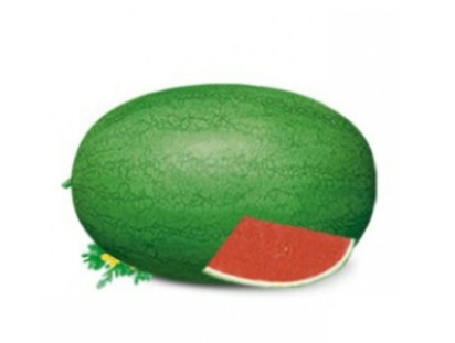 Light green rind Organic Watermelon Seeds with netted stripes supplier