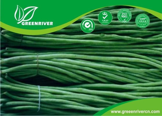 Commercial Green Organic yard long bean seeds with thick flesh supplier