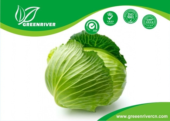 cheap Green organnic Cabbage seeds in Black / Red , OC Certification